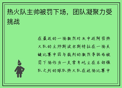 热火队主帅被罚下场，团队凝聚力受挑战